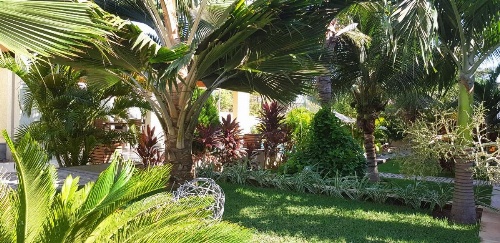 Ravenala Hotel Boutique image 41